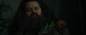 CdF-Potterish_3115.jpg