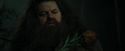CdF-Potterish_3116.jpg