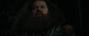 CdF-Potterish_3122.jpg