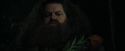 CdF-Potterish_3123.jpg