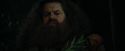 CdF-Potterish_3124.jpg