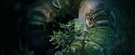CdF-Potterish_3184.jpg