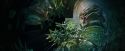CdF-Potterish_3185.jpg