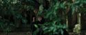 CdF-Potterish_3225.jpg