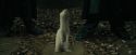 CdF-Potterish_3245.jpg