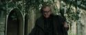 CdF-Potterish_3247.jpg