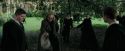 CdF-Potterish_3254.jpg
