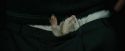 CdF-Potterish_3268.jpg