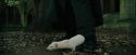 CdF-Potterish_3276.jpg