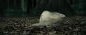 CdF-Potterish_3278.jpg