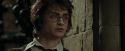 CdF-Potterish_3357.jpg