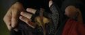 CdF-Potterish_3615.jpg