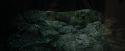 CdF-Potterish_3682.jpg