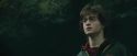 CdF-Potterish_3699.jpg