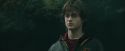 CdF-Potterish_3701.jpg