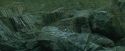 CdF-Potterish_3704.jpg