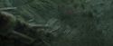 CdF-Potterish_3716.jpg