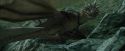 CdF-Potterish_3719.jpg