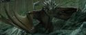 CdF-Potterish_3721.jpg