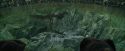 CdF-Potterish_3731.jpg