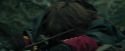 CdF-Potterish_3737.jpg