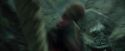 CdF-Potterish_3740.jpg