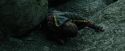 CdF-Potterish_3749.jpg