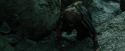 CdF-Potterish_3751.jpg
