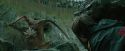 CdF-Potterish_3771.jpg