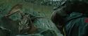 CdF-Potterish_3772.jpg