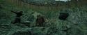 CdF-Potterish_3793.jpg