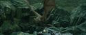 CdF-Potterish_3803.jpg