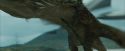 CdF-Potterish_3805.jpg