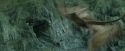 CdF-Potterish_3812.jpg