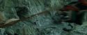 CdF-Potterish_3813.jpg