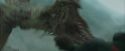CdF-Potterish_3839.jpg