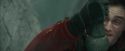 CdF-Potterish_3873.jpg