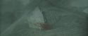 CdF-Potterish_3877.jpg