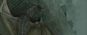CdF-Potterish_3899.jpg