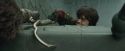 CdF-Potterish_3910.jpg