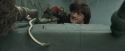 CdF-Potterish_3911.jpg