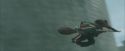 CdF-Potterish_3932.jpg
