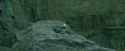 CdF-Potterish_3996.jpg