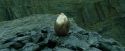 CdF-Potterish_3997.jpg