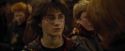 CdF-Potterish_4067.jpg
