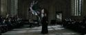 CdF-Potterish_4270.jpg