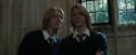 CdF-Potterish_4320.jpg