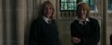 CdF-Potterish_4362.jpg