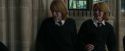 CdF-Potterish_4375.jpg