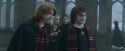 CdF-Potterish_4428.jpg
